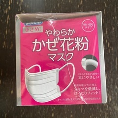 11/24★★⭐︎マスク無料⭐︎★★不織布60枚入り（小さめ）の画像