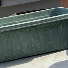 スリット鉢、テラコッタなどまとめての画像