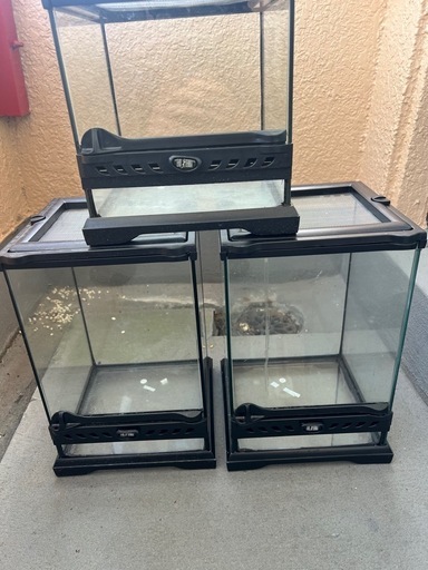 爬虫類　
グラステラリウムナノ　セット