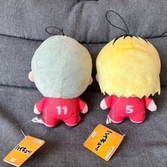 ハイキュー 孤爪研磨 灰羽リエーフの画像