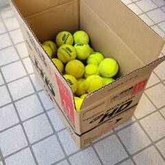 中古テニスボール60個＋α 譲りますの画像