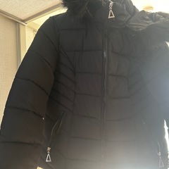 レディース  ダウンXLの画像