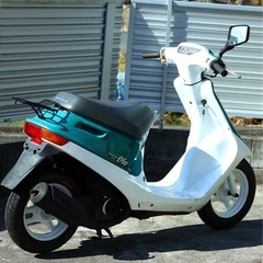 初期ディオAF18 モデル　ライムグリーンの画像