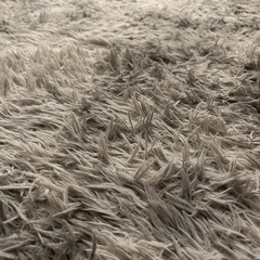 カーペットの画像