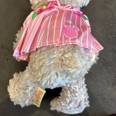 シェリーメイ　Spring voyageの画像