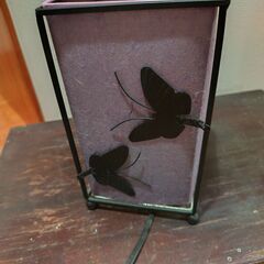 蝶のライトの画像