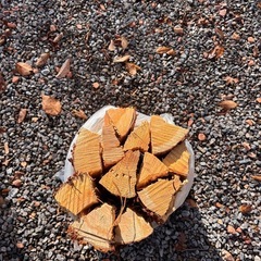 薪　　1束分　キャンプの画像