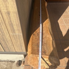 杉の木　ベンチ　椅子の画像