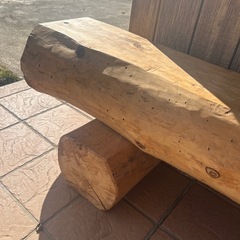 杉の木　ベンチ　椅子の画像