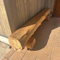 杉の木　ベンチ　椅子の画像