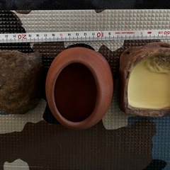 爬虫類 水入れ シェルターの画像