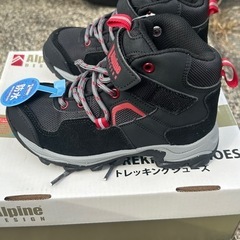 Alpineトレッキングシューズの画像