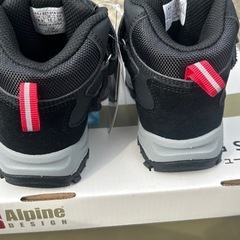 Alpineトレッキングシューズの画像