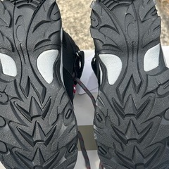 Alpineトレッキングシューズの画像