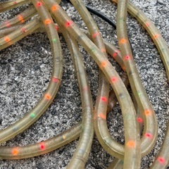 野外イルミネーションの画像