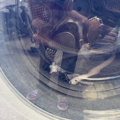 【美品】HITACHI 日立 BD-SG110HL ドラム式 洗濯乾燥機 2023年製 ビックドラム 風アイロン 洗濯 11kg 乾燥 6kgの画像