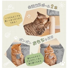 キャットタワーの画像
