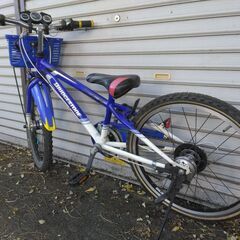 22インチの子供自転車です。外装７段ギア付です。の画像