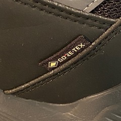 adidas TERREX TXHIKER GTX GORE-TEX 29.0㎝の画像