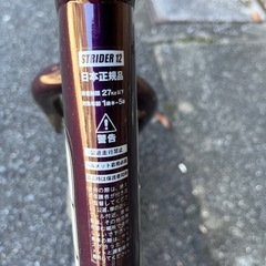 ストライダープロモデル STRIDER Proの画像