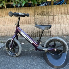 ストライダープロモデル STRIDER Proの画像