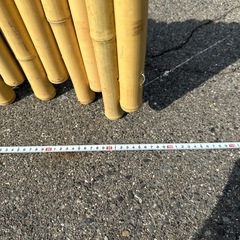 🎋天然竹＆人工竹フェンス セット✨お庭のアクセントに♪の画像