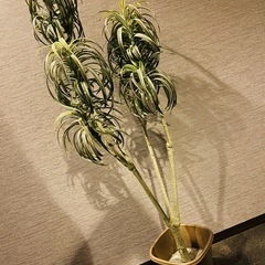フェイクグリーン⑥🪴 観葉植物 の画像