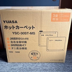 ホットカーペットの画像