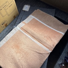 ホットカーペットの画像