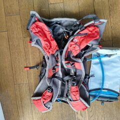 サロモン スキンプロ14+3 ハイドレーションパックセット付きの画像