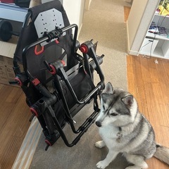 ハンコン 折りたたみシート 値段交渉可の画像