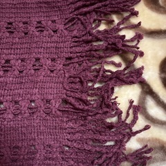 マフラーの画像