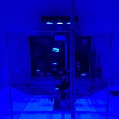 海水水槽セット （新品）約125Lの画像