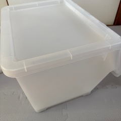 【カインズ】 Carico M  （スモーキークリア）の画像