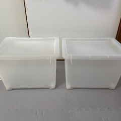 【カインズ】 Carico M  （スモーキークリア）の画像