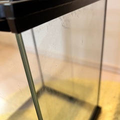 グラステラリウムナノ2個セットの画像