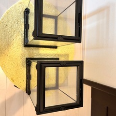 グラステラリウムナノ2個セットの画像