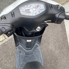 スズキレッツの画像