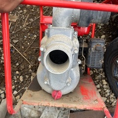 SHIBAURA水ポンプの画像