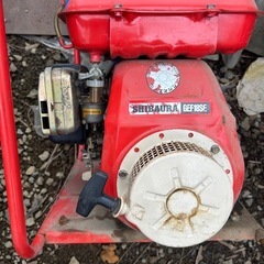 SHIBAURA水ポンプの画像