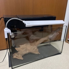 テトラtetra 52㎝ガラス水槽　フルセット　使用期間10ヶ月の画像