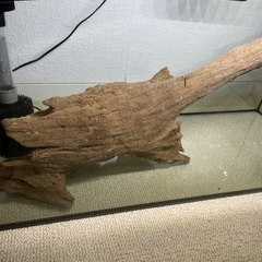 テトラtetra 52㎝ガラス水槽　フルセット　使用期間10ヶ月の画像