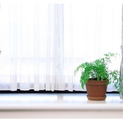 一般的な出窓サイズ用カーテンの画像