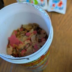 金魚飼育セットの画像