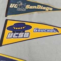 USA College Tapestry タペストリー アメリカ大学の画像