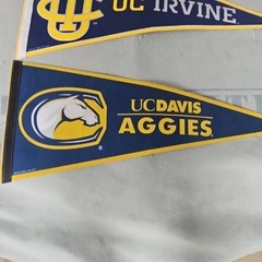 USA College Tapestry タペストリー アメリカ大学の画像