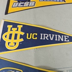 USA College Tapestry タペストリー アメリカ大学の画像