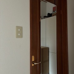 NITORI ニトリ ドア掛けミラー ニューソレイユの画像