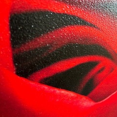 バラ　絵画　作者不明の画像