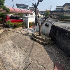 庭石　庭いしの画像